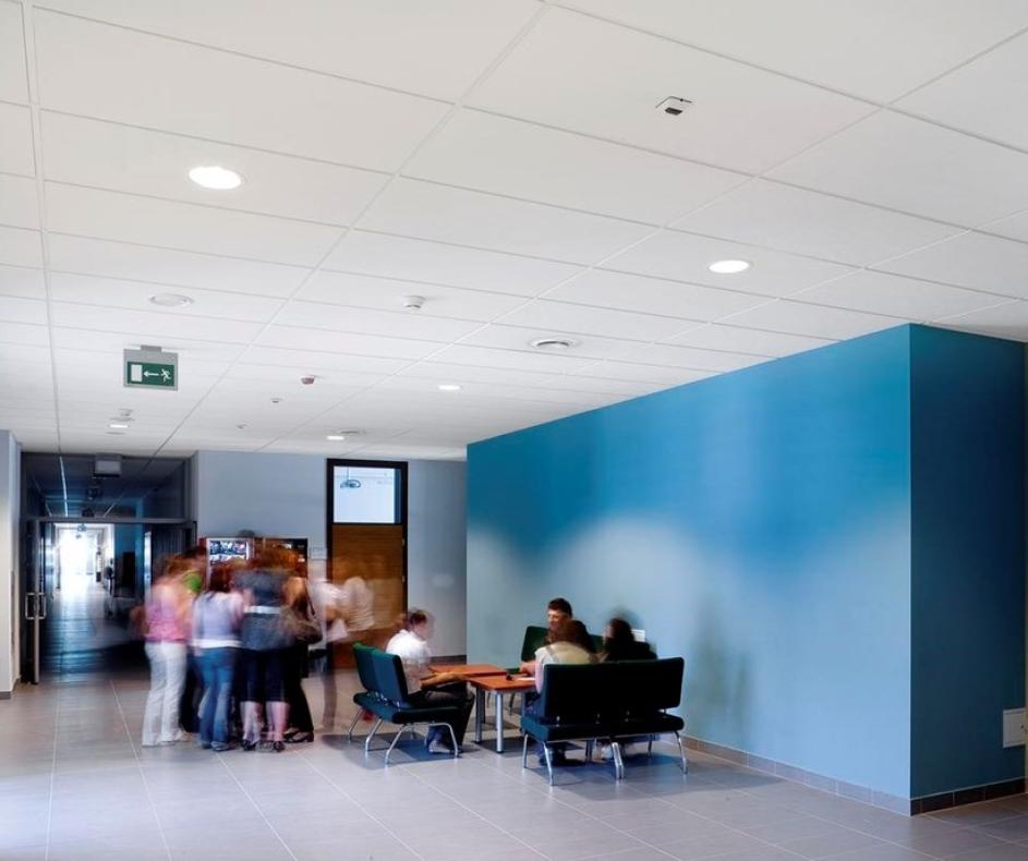 Master E (Мастер Е)